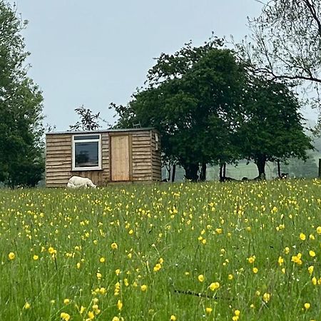 Off Grid Shepherds Hut Hotel Llansilin Luaran gambar