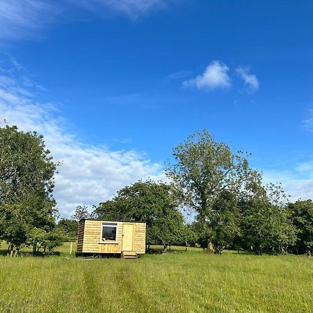 Off Grid Shepherds Hut Hotel Llansilin Luaran gambar